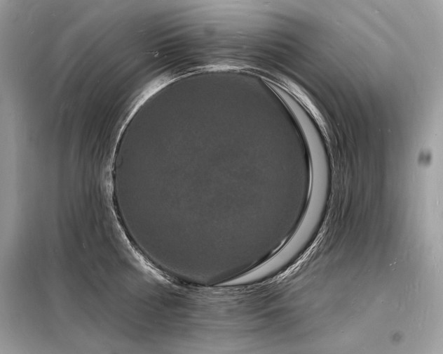 X0000098230810200804241339