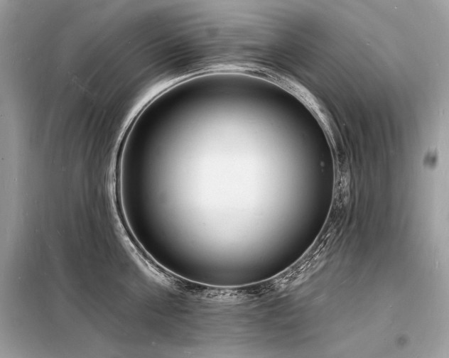 X0000098230811200804241339