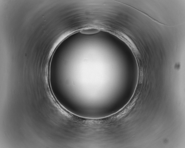 X0000098230812200804241339