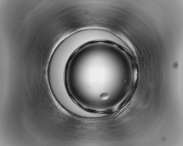 X0000098230813200804241339