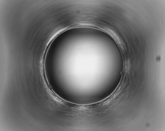 X0000098230814200804241339