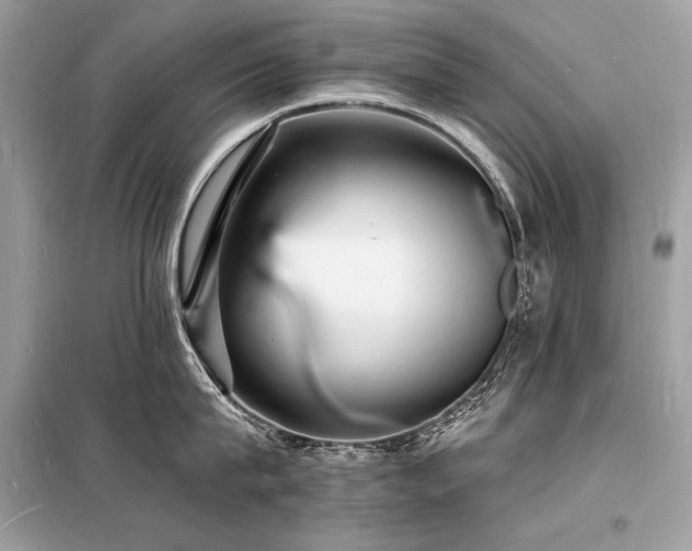 X0000098230815200804241339