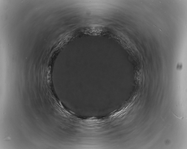 X0000098230818200804241338