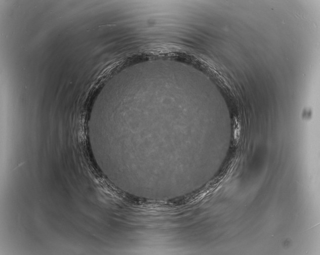 X0000098230819200804241338