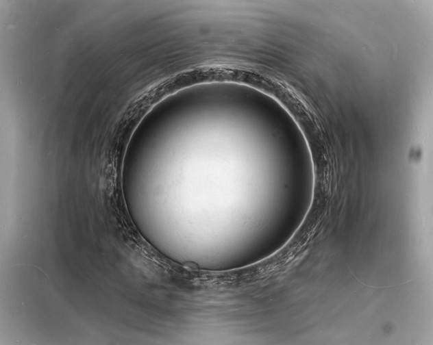 X0000098230821200804241338