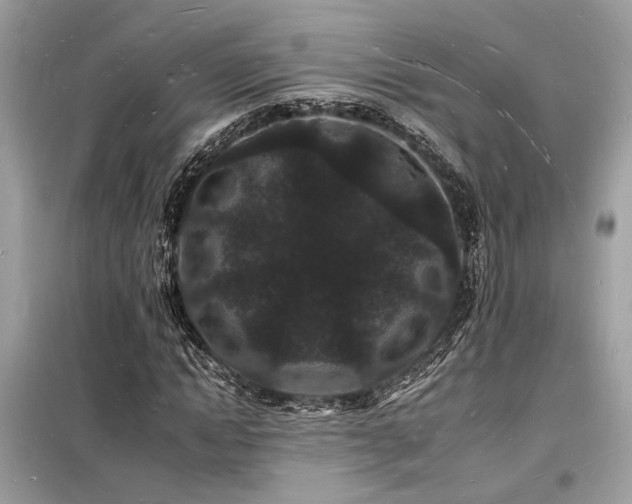 X0000098230822200804241338