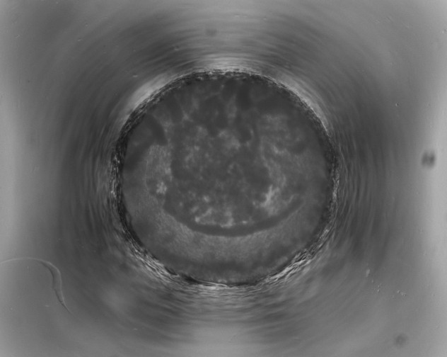X0000098230823200804241338