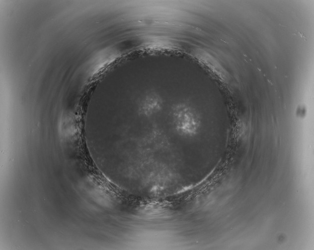 X0000098230824200804241338
