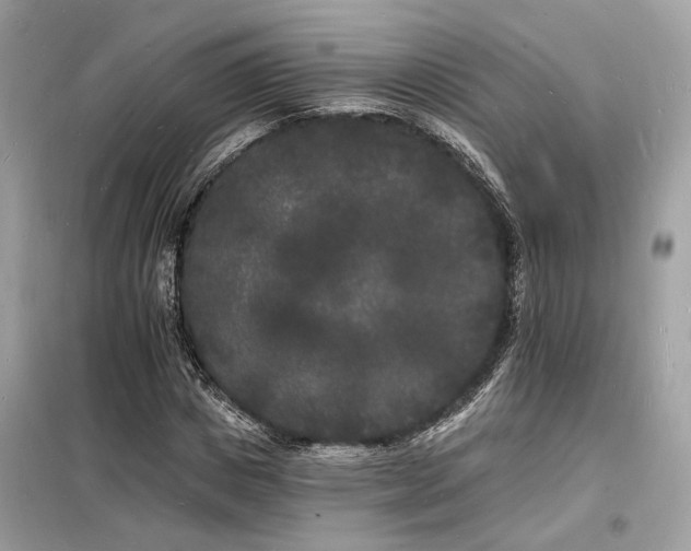 X0000098230825200804241338