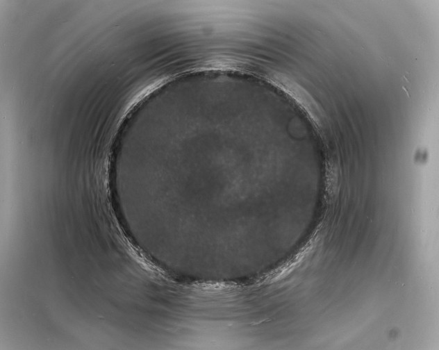 X0000098230826200804241338