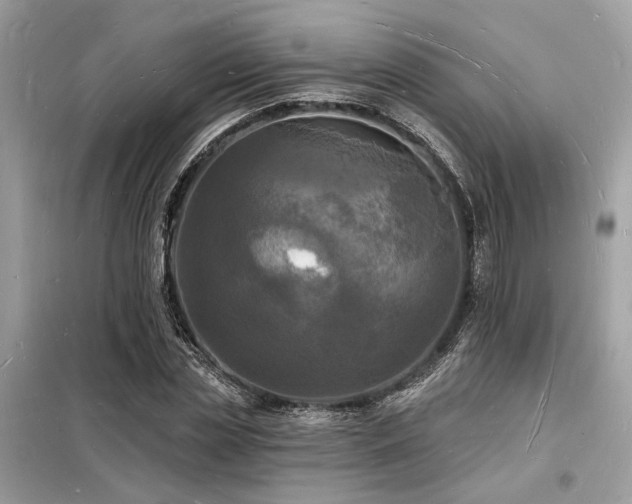 X0000098230829200804241338