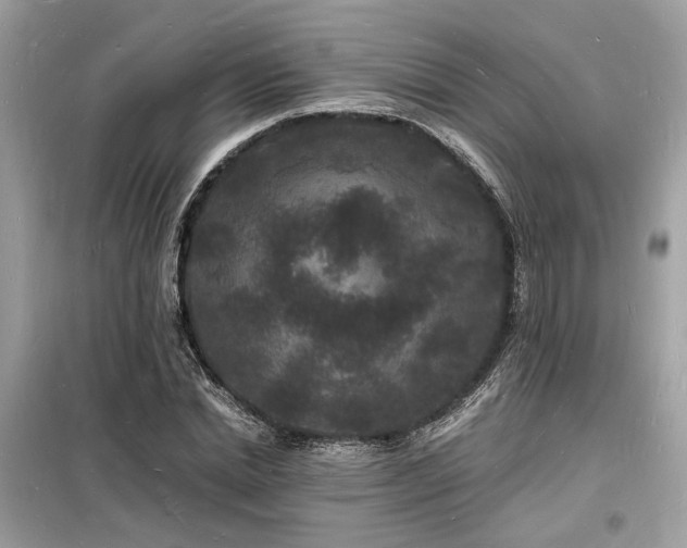 X0000098230830200804241338