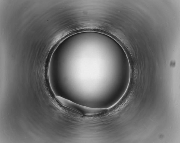 X0000098230834200804241338