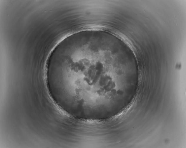 X0000098230835200804241338