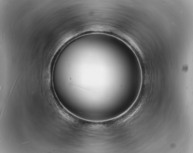 X0000098230837200804241338