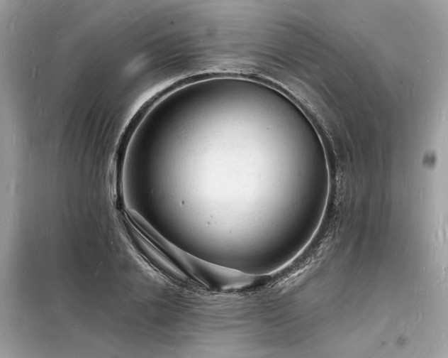 X0000098230838200804241338