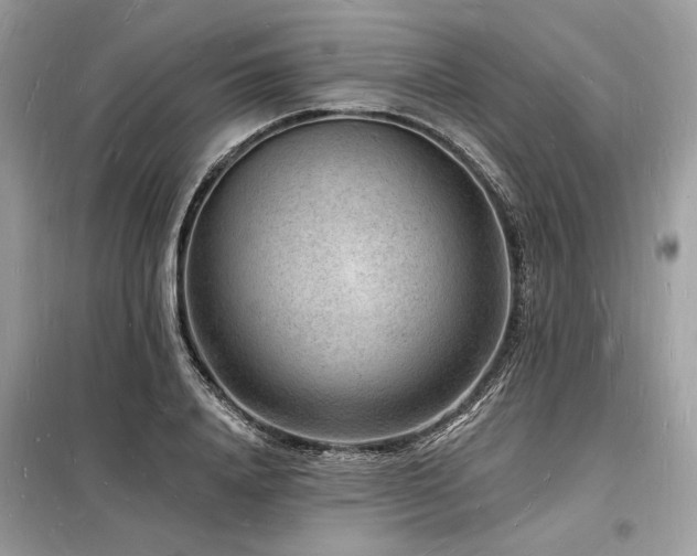 X0000098230840200804241339