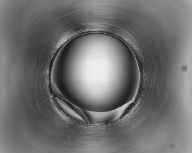X0000098230842200804241339