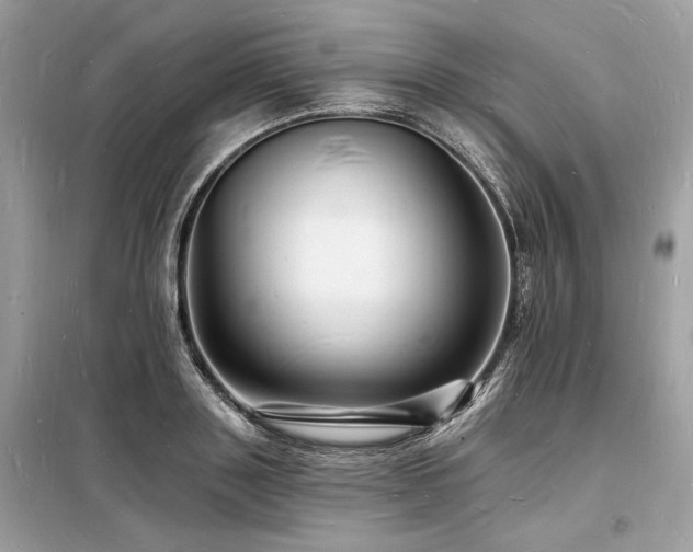 X0000098230843200804241339