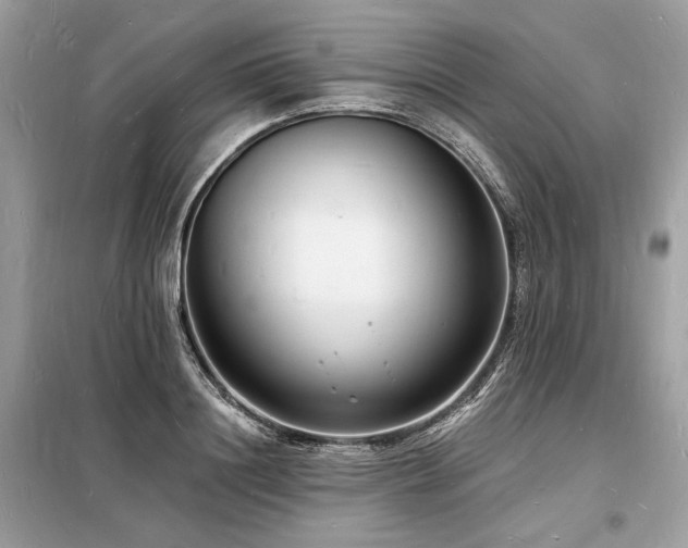X0000098230844200804241339