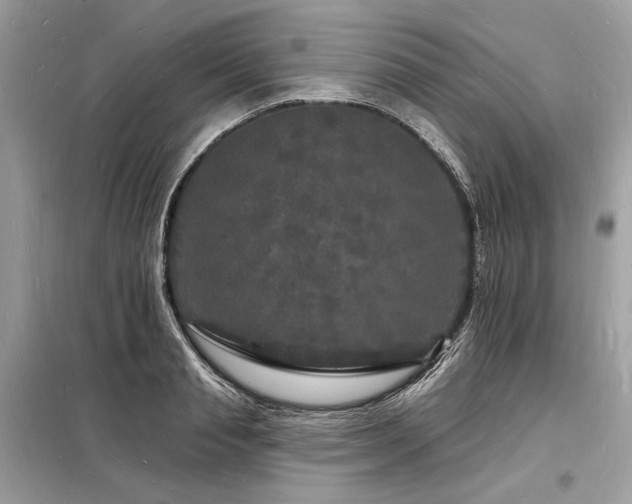 X0000098230845200804241339