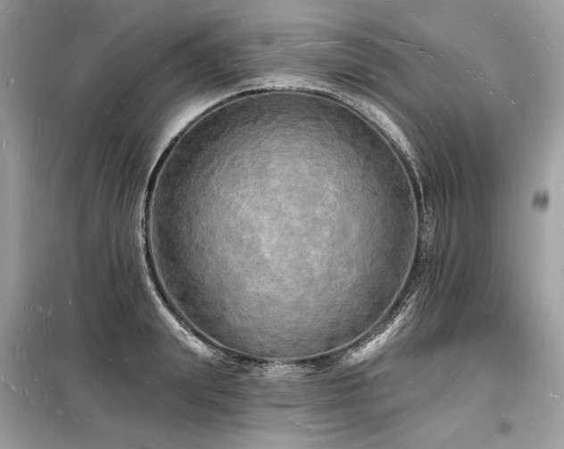 X0000098230847200804241339