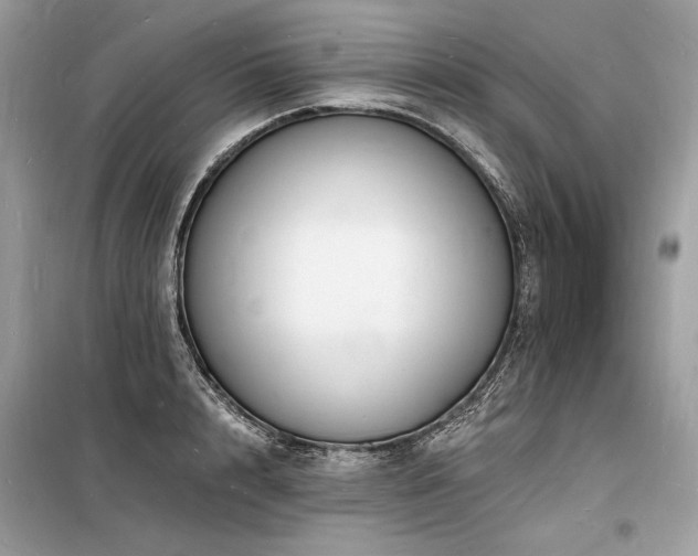 X0000098230848200804241339