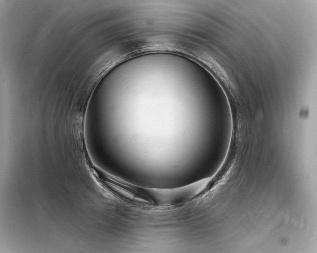 X0000098230849200804241339