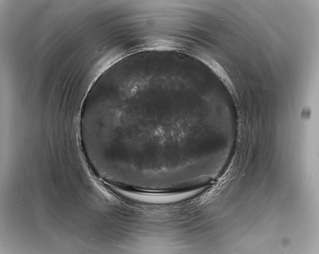 X0000098230850200804241339