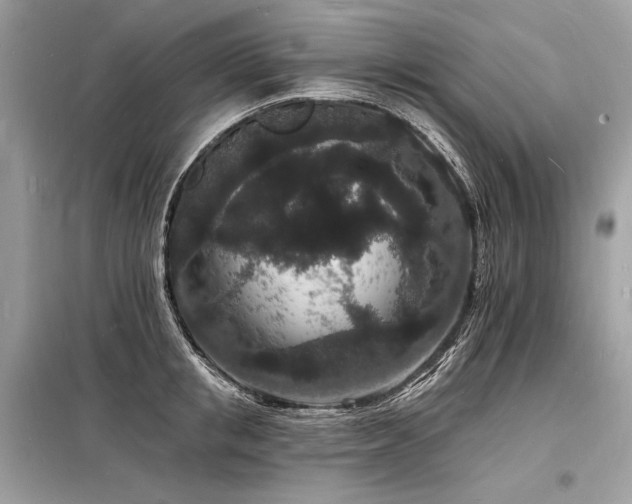 X0000098230853200804241339