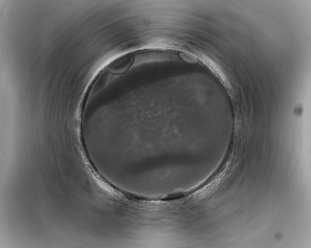 X0000098230854200804241339