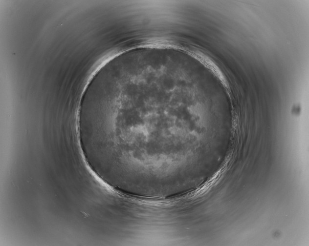 X0000098230855200804241339