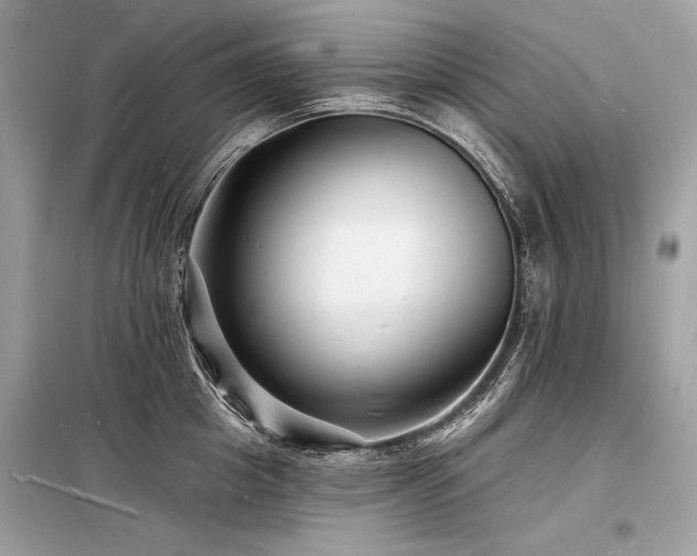 X0000098230857200804241339
