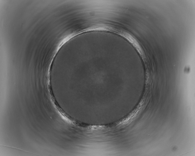X0000098230858200804241339