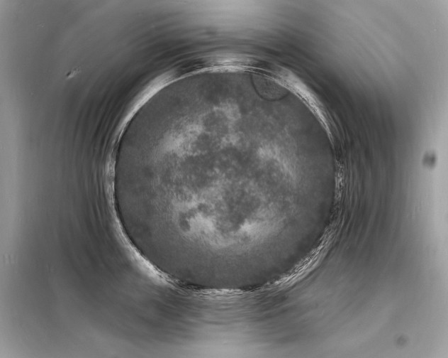 X0000098230859200804241339