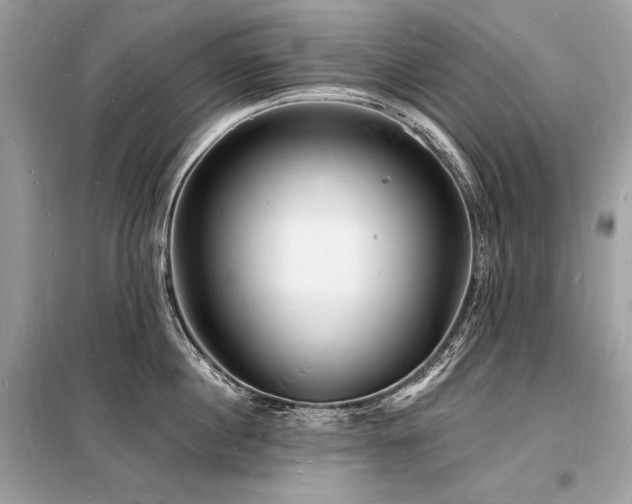 X0000098230860200804241339