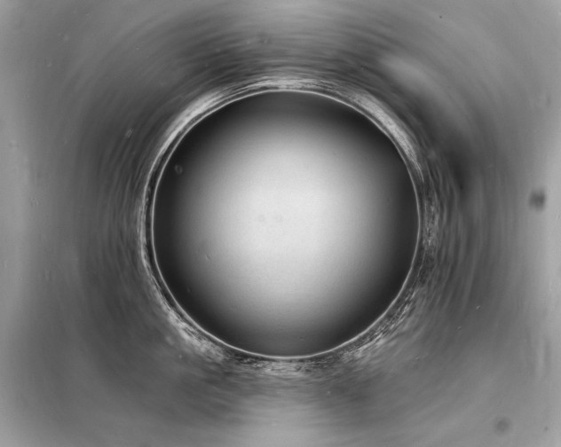 X0000098230861200804241339