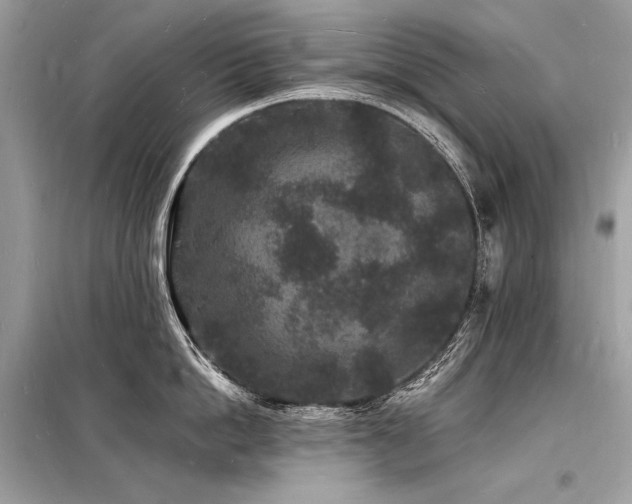 X0000098230862200804241339