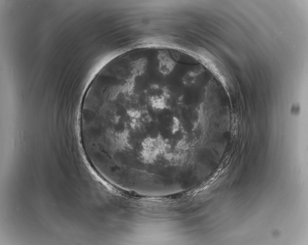 X0000098230863200804241339