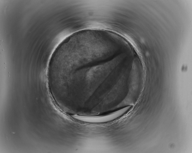 X0000098230864200804241339