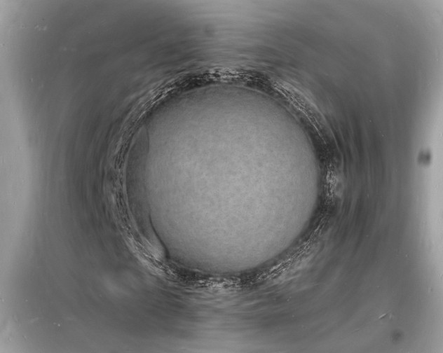X0000098230865200804241338