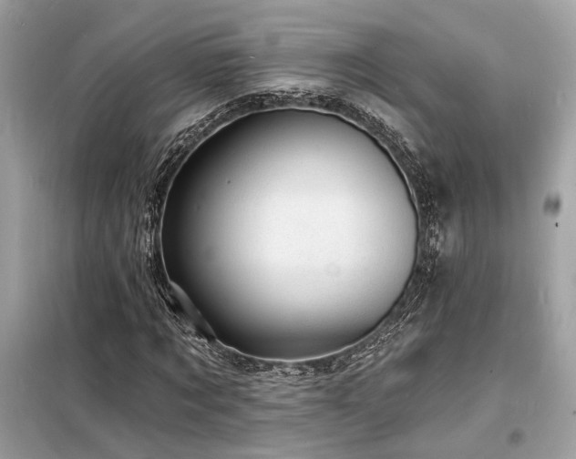 X0000098230869200804241338