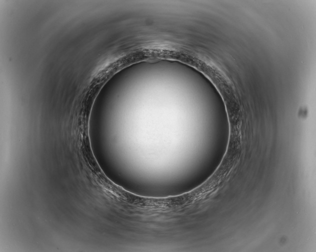 X0000098230870200804241338