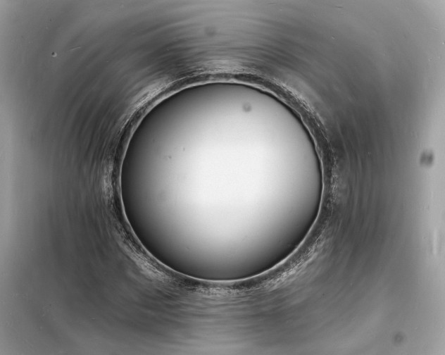 X0000098230873200804241338