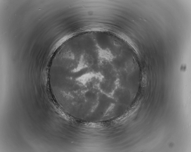 X0000098230874200804241338