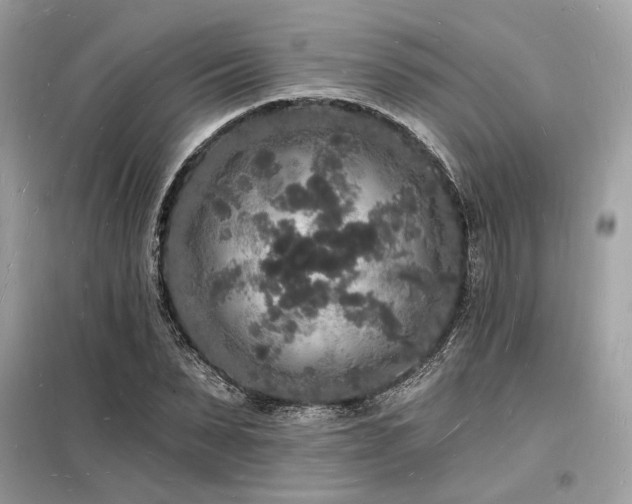X0000098230879200804241338