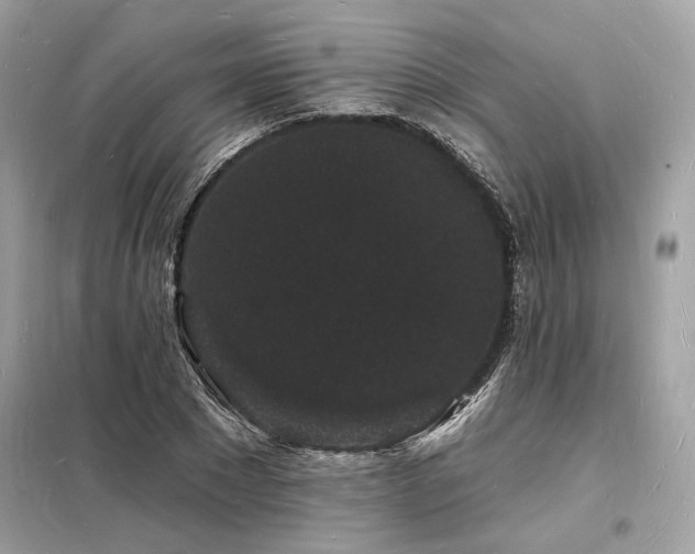 X0000098230881200804241338