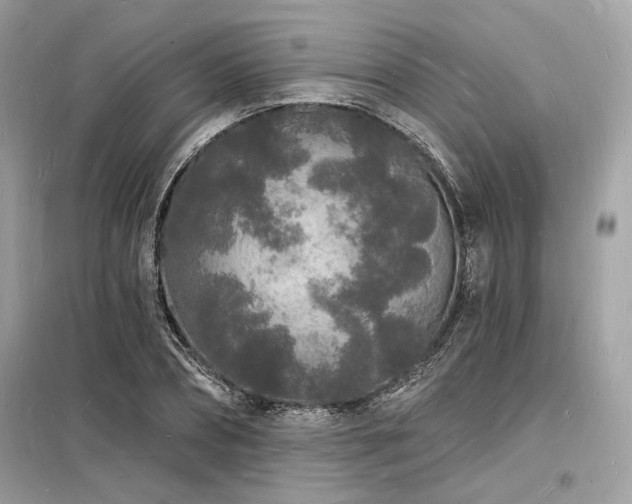 X0000098230882200804241338