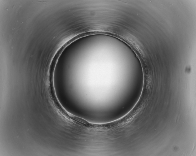 X0000098230884200804241338