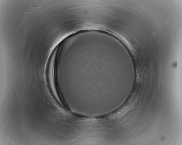 X0000098230885200804241338